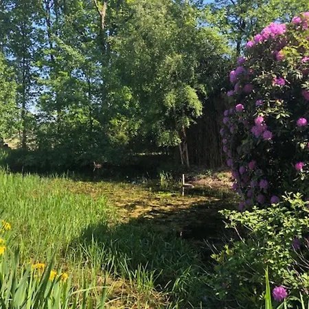 Het Woud. Max. 11 Pers. With Private Pool וילה