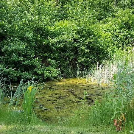 Villa Het Woud. Max. 11 Pers. With Private Pool *