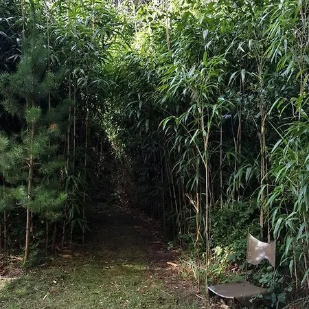 וילה Het Woud. Max. 11 Pers. With Private Pool *