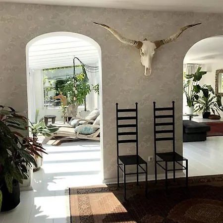 Het Woud. Max. 11 Pers. With Private Pool