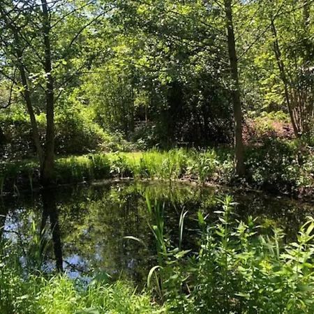 Het Woud. Max. 11 Pers. With Private Pool